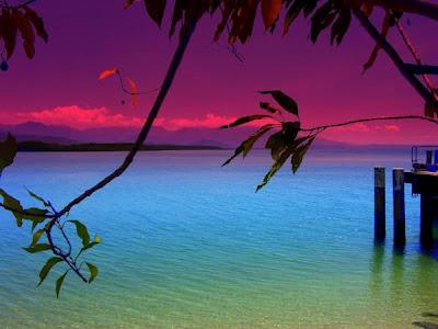 l'ARROGANZA DI HANNA ARENDT