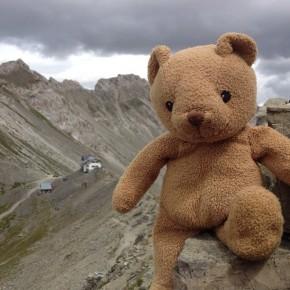 San Pellegrino - Un orso in Trentino (3)