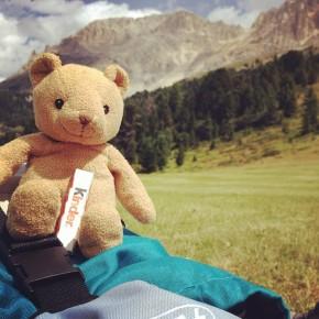 Latemar - Un orso in Trentino (3)