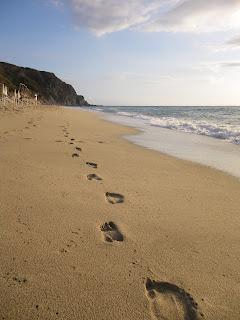 ...Lasciarsi addomesticare