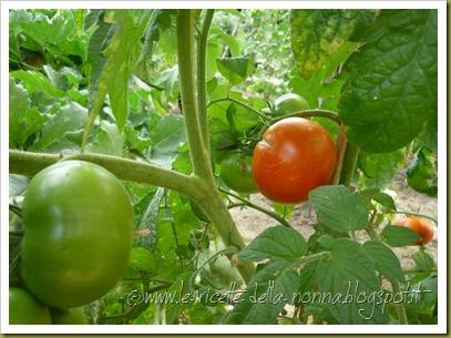 Orto di casa nostra - agosto 2012 (23)