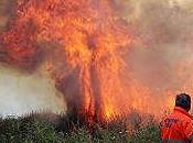 Operaio Quarto muore soffocato fumo