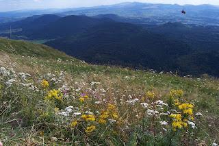 in francia di campeggio in campeggio....