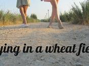 Flying wheat field