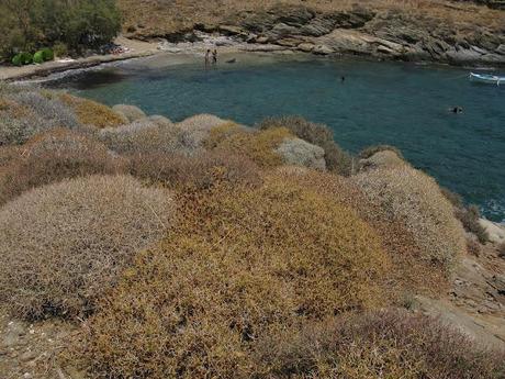 Eating Serifos part 1 - stuffed tomatoes at Νικουλιας: the tavern in Plati Gialos