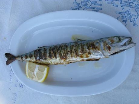 Eating Serifos part 1 - stuffed tomatoes at Νικουλιας: the tavern in Plati Gialos