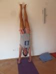 re: corso di YOGA a Camerino (Marche) – final session -