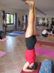 re: corso di YOGA a Camerino (Marche) – final session -