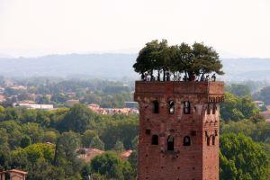 Lucca, un giorno tra chiese, monumenti e vicoli del centro storico