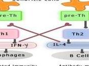 Risposta Th1, Th17