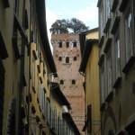 Lucca torre guinigi