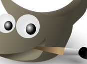 Ufficializzata Gimp