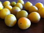 Mirabelle