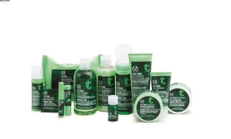 Tea Tree Oil: ingrediente magico