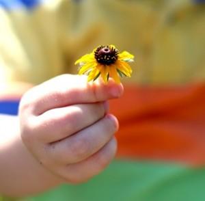 L’ERBARIO CON I BAMBINI