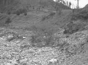 Lettere dalla rete, silenzio piu’ totale