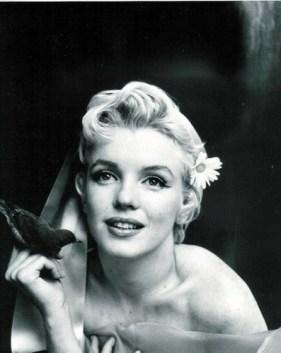 MARILYN MONROE. Bye bye baby.