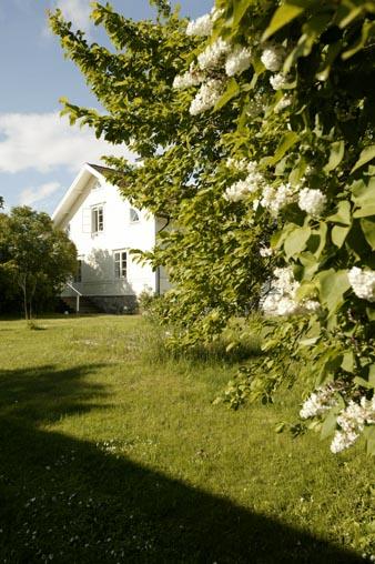 In Svezia…una bella Summer House
