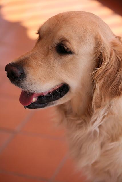 Happy Birthday Margot!