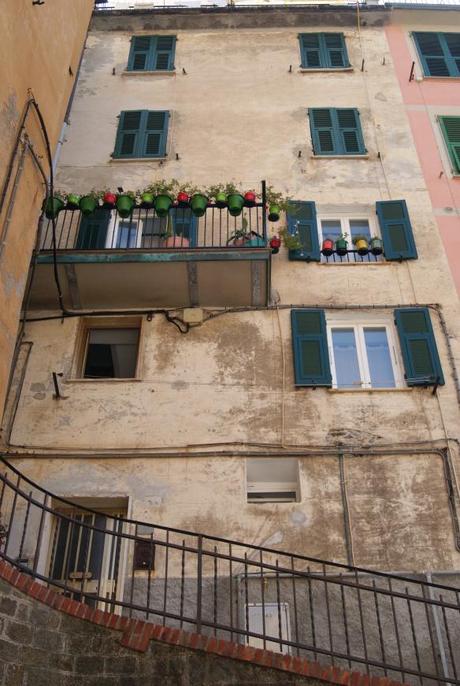 sempre immagini  ossia realtà