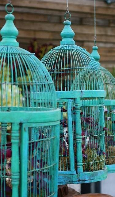 Birdcage.