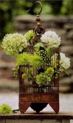 birdcage