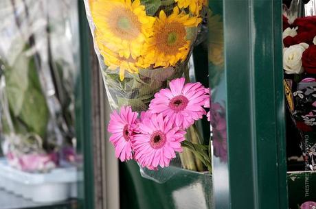 In the Street... Milan e Paris in Flowers #5