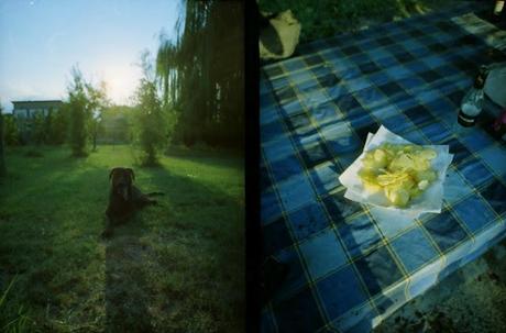 FERRAGOSTO in Half Frame con LC-Wide