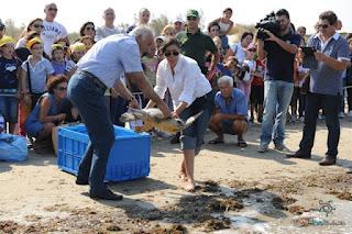 Buone notizie dal Salento per la Caretta caretta