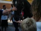 Dopo anni AIDAA riporta pista Verenne