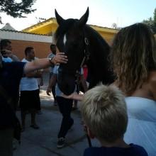 Dopo 10 anni AIDAA riporta in pista Verenne