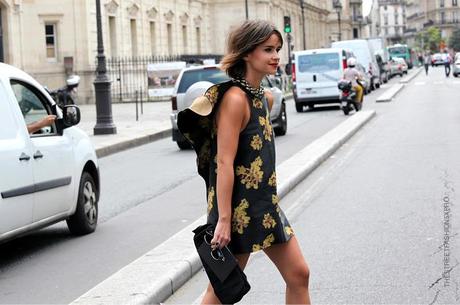 In the Street... Miroslava Duma, Paris