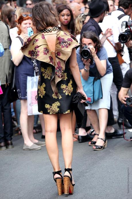 In the Street... Miroslava Duma, Paris