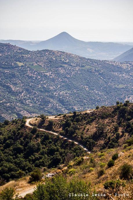 Degustazioni di Sardegna: Seleni, il bosco incantato