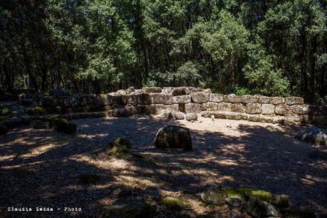 Degustazioni di Sardegna: Seleni, il bosco incantato