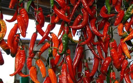 Peperoncini Calabria