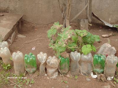 usi alternativi alle bottiglie di plastica - other ways to use plastic bottles