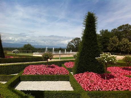 UN CASTELLO DI ROSE