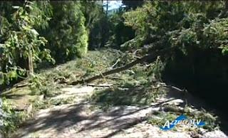 Distrutti i giardini di Villa Taranto