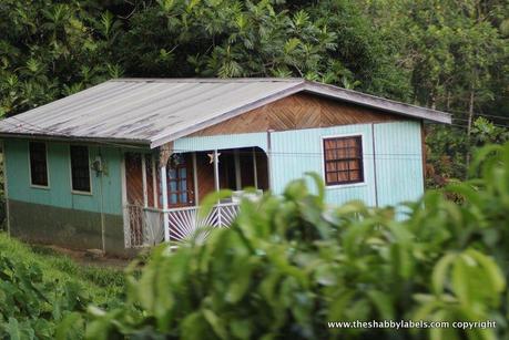 Caraibi day 5, St Lucia