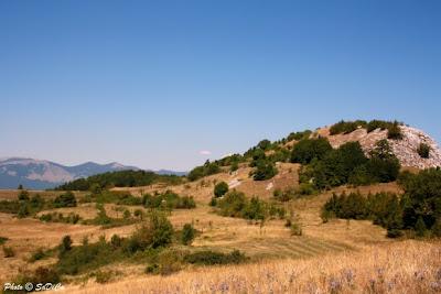 Cartoline d'Estate