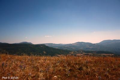 Cartoline d'Estate