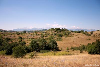 Cartoline d'Estate