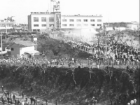 Nihon kaiho sensen Sanrizuka no natsu (日本開放戦線 三里塚の夏,  Summer in Narita)