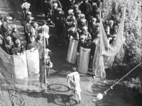 Nihon kaiho sensen Sanrizuka no natsu (日本開放戦線 三里塚の夏,  Summer in Narita)