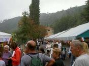 Sagra Cinghiale, settembre, Stellanello