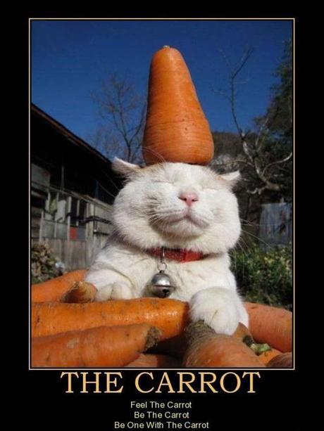 http://4.bp.blogspot.com/-fHWR6idNpck/Tx95AwtYeCI/AAAAAAAAe3w/cLyRe7X0uVw/s1600/the-carrot-carrots-n-cats-demotivational-poster-1269799659.jpg