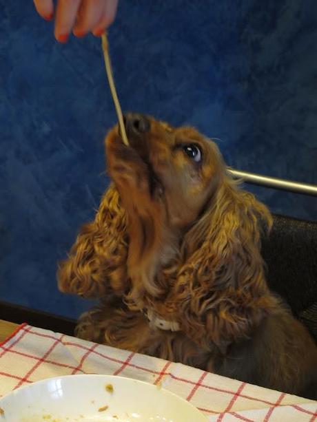 Spaghetti con Polpette