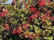 Settembre