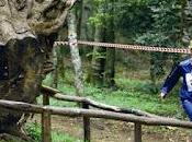 Inizia campionato nazionale orienteering, settembre Gargano